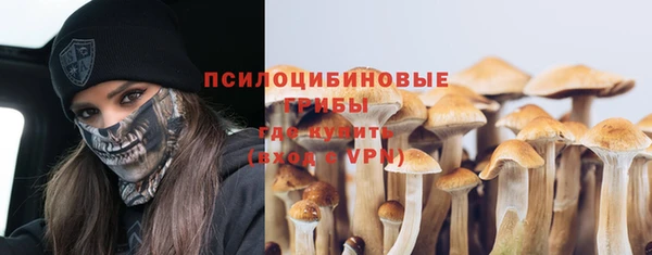 круглые Аркадак