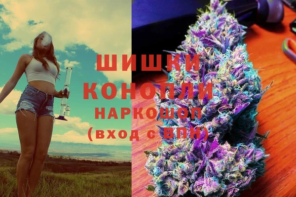спайс Арсеньев