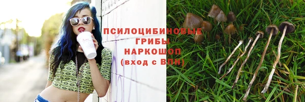 спайс Арсеньев