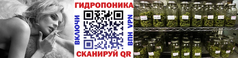 Бошки марихуана AK-47  купить наркотики сайты  Тогучин 